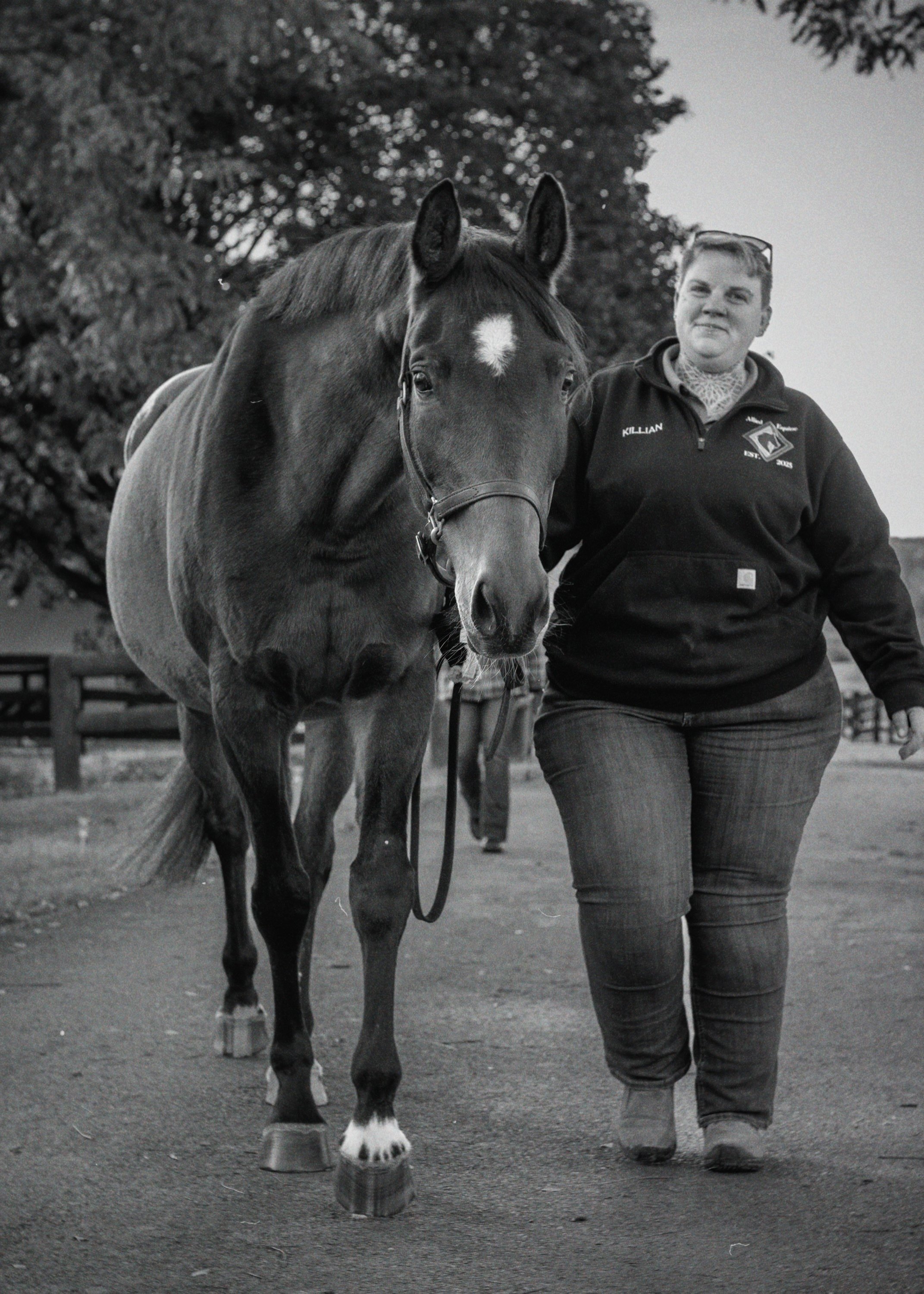 Black-and-white photo of a handler walking a horse down the farm lane