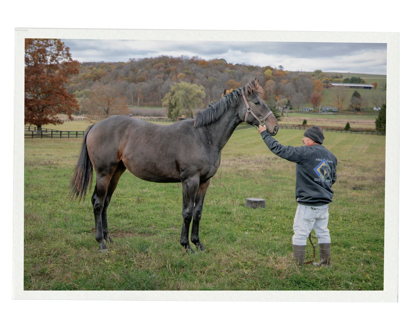 An Allied Equine handler greeting a horse in an autumn pasture