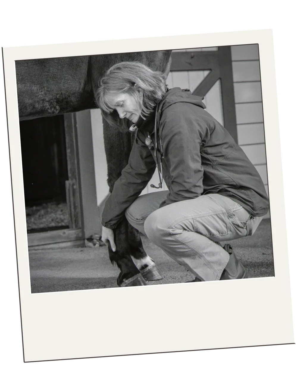 A veterinarian crouching to examine a horse's lower leg