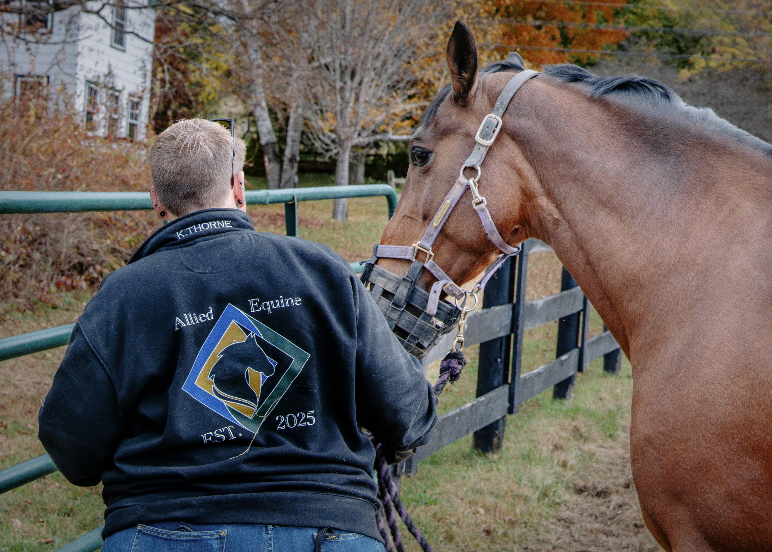 An Allied Equine team member standing with a bay horse at the fence line