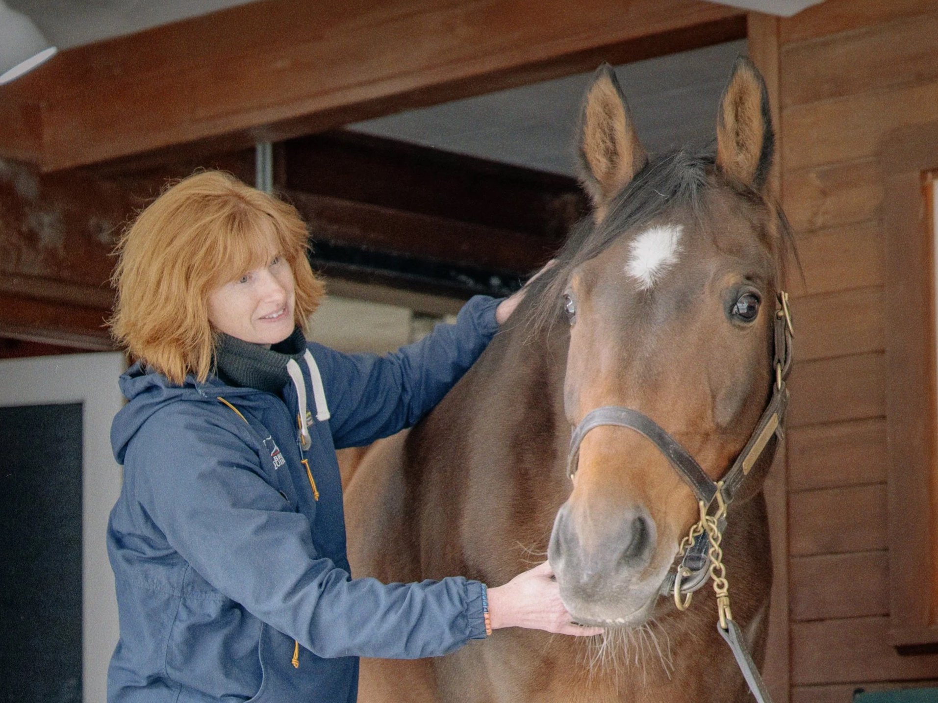A caretaker stroking the face of a bay horse in the barn