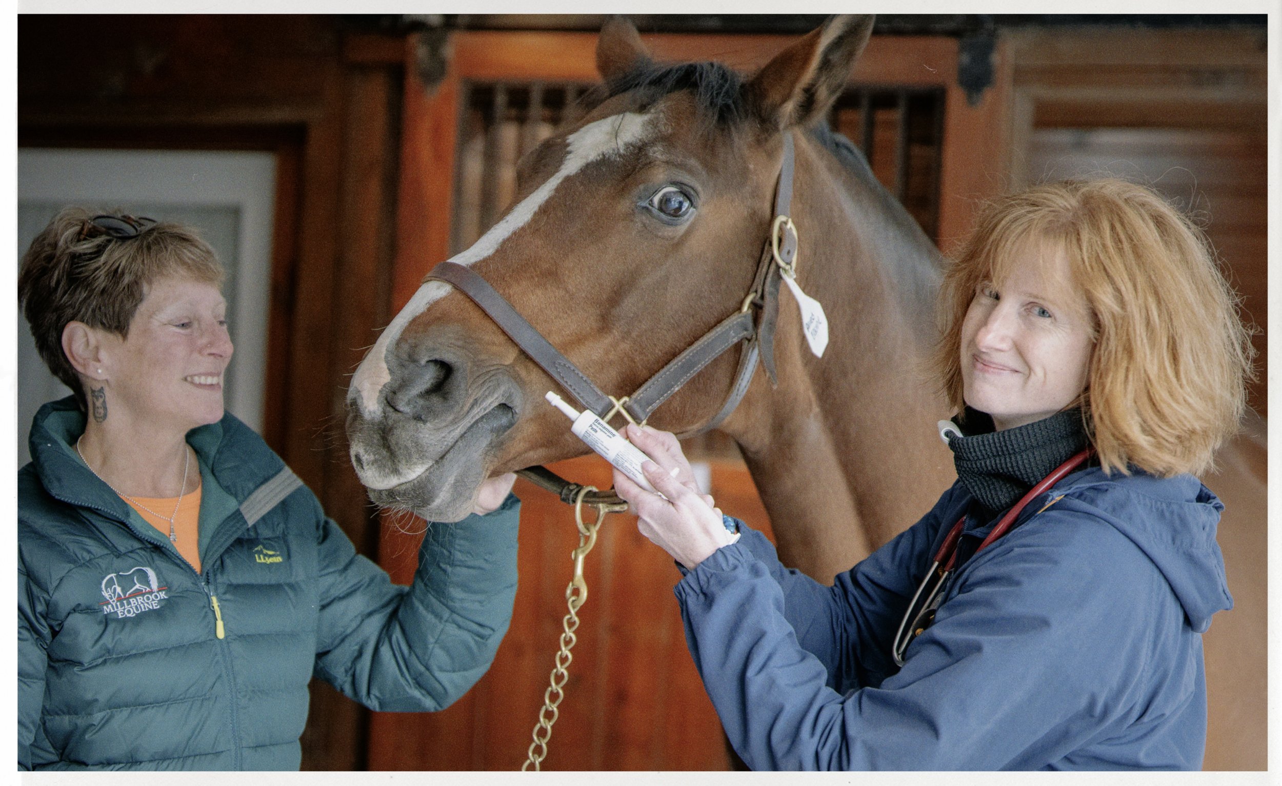 Two Allied Equine team members smiling with a horse in the barn