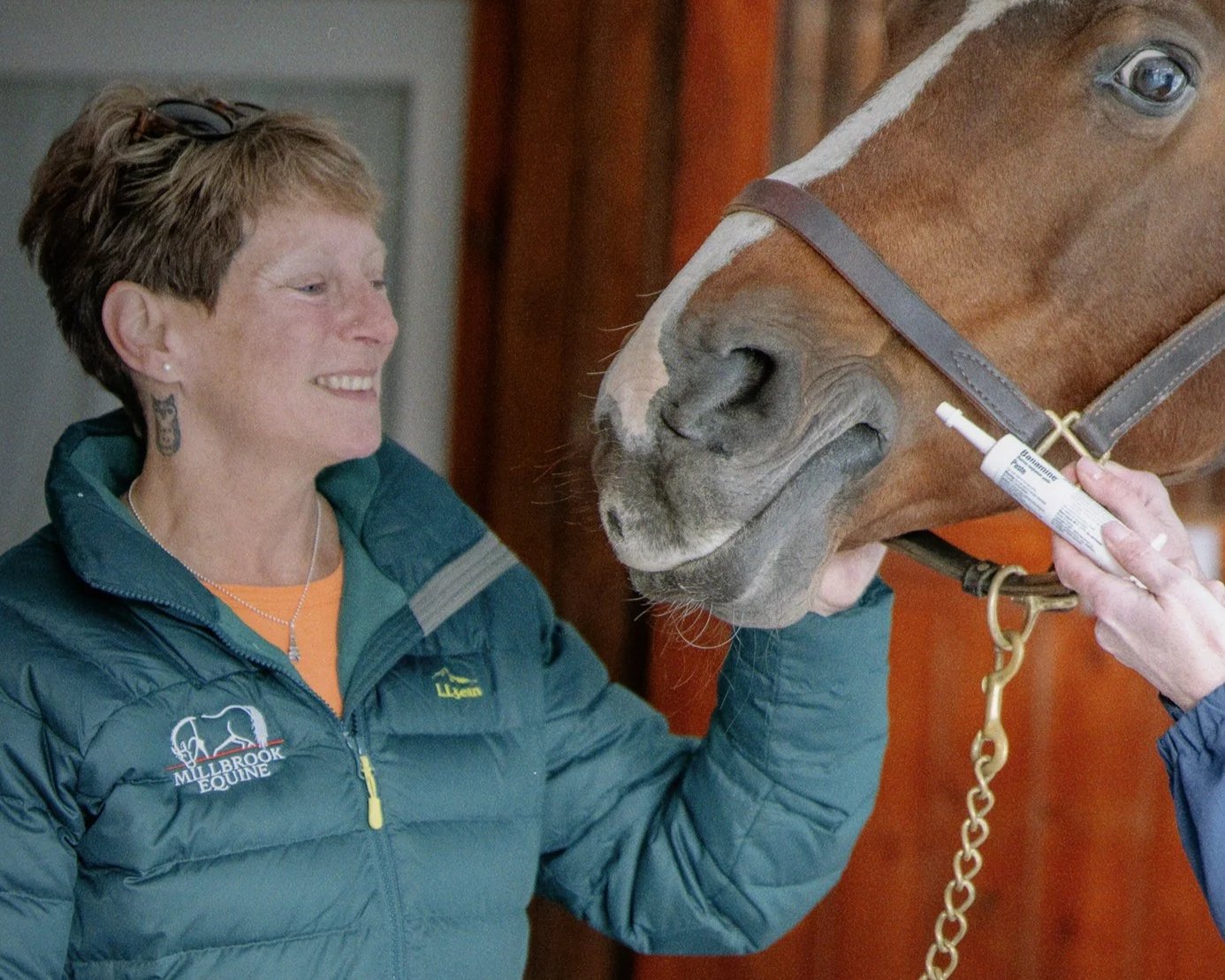 A smiling veterinarian giving a horse its oral medication